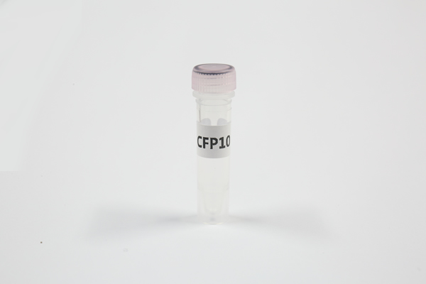 结核分枝杆菌特异抗原CFP10重组蛋白