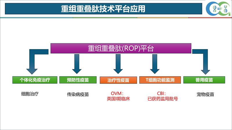 ROP新技术研讨会顺利召开4.jpg