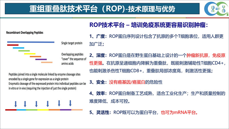 ROP新技术研讨会顺利召开3.jpg